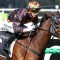 Shock betting move for local horse in Melbourne Cup 2026