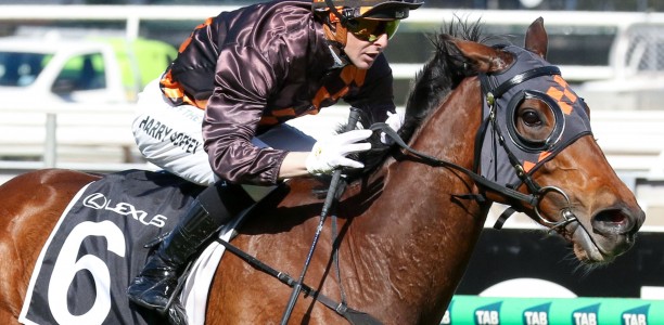 Shock betting move for local horse in Melbourne Cup 2026