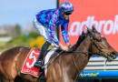Pride Of Jenni ruled out of Derby Day appearance