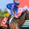 Pride Of Jenni ruled out of Derby Day appearance
