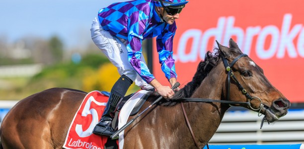 Pride Of Jenni ruled out of Derby Day appearance