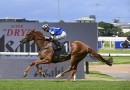 Melbourne Cup 2026 ownership shares in Vauban and Wine Dark Sea up for sale