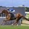 Melbourne Cup 2026 ownership shares in Vauban and Wine Dark Sea up for sale