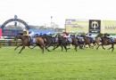 Choisir Handicap