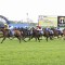 Choisir Handicap
