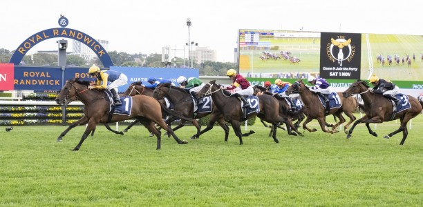 Choisir Handicap