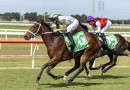 Unhinged heads odds in Carbine Club Stakes betting at Flemington