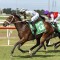 Unhinged heads odds in Carbine Club Stakes betting at Flemington