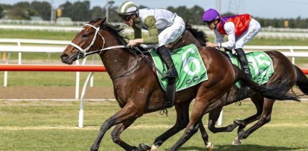 Unhinged heads odds in Carbine Club Stakes betting at Flemington