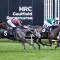 Victoria Derby 2026 Tips, Odds, Field, Winners & $100 Betting Strategy