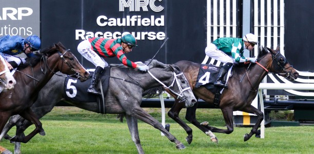 Victoria Derby 2026 Tips, Odds, Field, Winners & $100 Betting Strategy