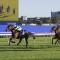 Anthracite to back-up in the Sydney Gold Cup