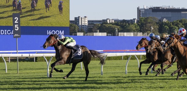 Anthracite to back-up in the Sydney Gold Cup