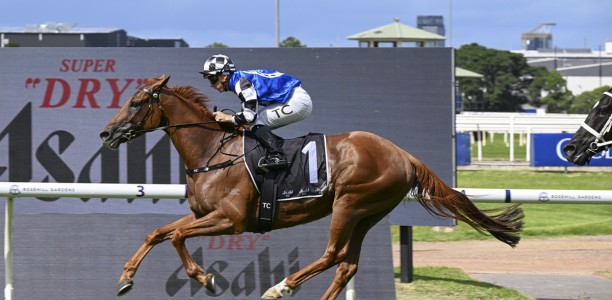 Five new Melbourne Cup owners after Inglis online sale