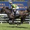 So You Are ‘can’t do any more’ to gain spot in 2026 Melbourne Cup field