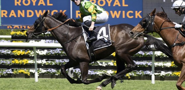 So You Are ‘can’t do any more’ to gain spot in 2026 Melbourne Cup field