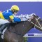 Unbeaten Ascot record goes on the line for Hot And High