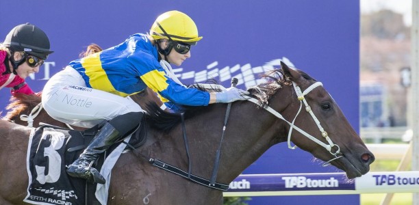 Unbeaten Ascot record goes on the line for Hot And High