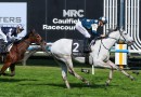 Leading Melbourne Cup contender out of the field