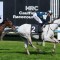 Leading Melbourne Cup contender out of the field