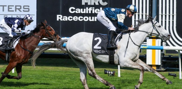 Leading Melbourne Cup contender out of the field