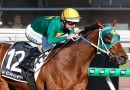 Sheza Alibi set for spell after The Golden Eagle regardless of result