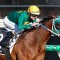 Sheza Alibi set for spell after The Golden Eagle regardless of result