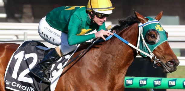 Sheza Alibi set for spell after The Golden Eagle regardless of result