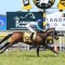 Strangles outbreak forces closure of NZ training facility