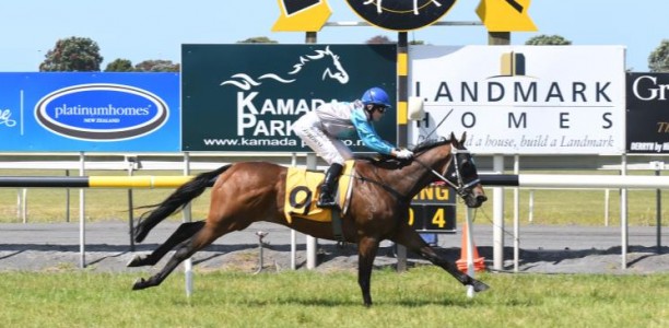 Strangles outbreak forces closure of NZ training facility