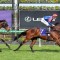 Concord Connie set to fly in Empire Rose Stakes