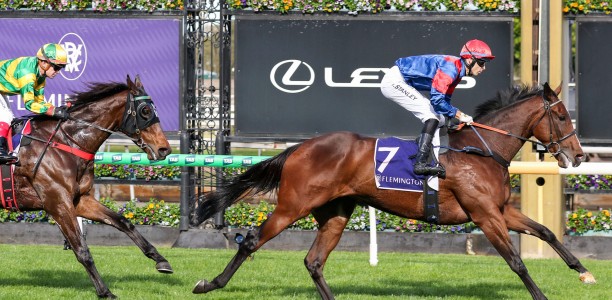 Concord Connie set to fly in Empire Rose Stakes
