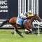 Vinery Stud buys controlling interest in star colt Warwoven