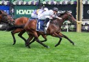 Coolmore Stud Stakes 2026 – What the jockeys said